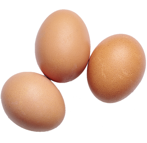 fresh-eggs-carton-30