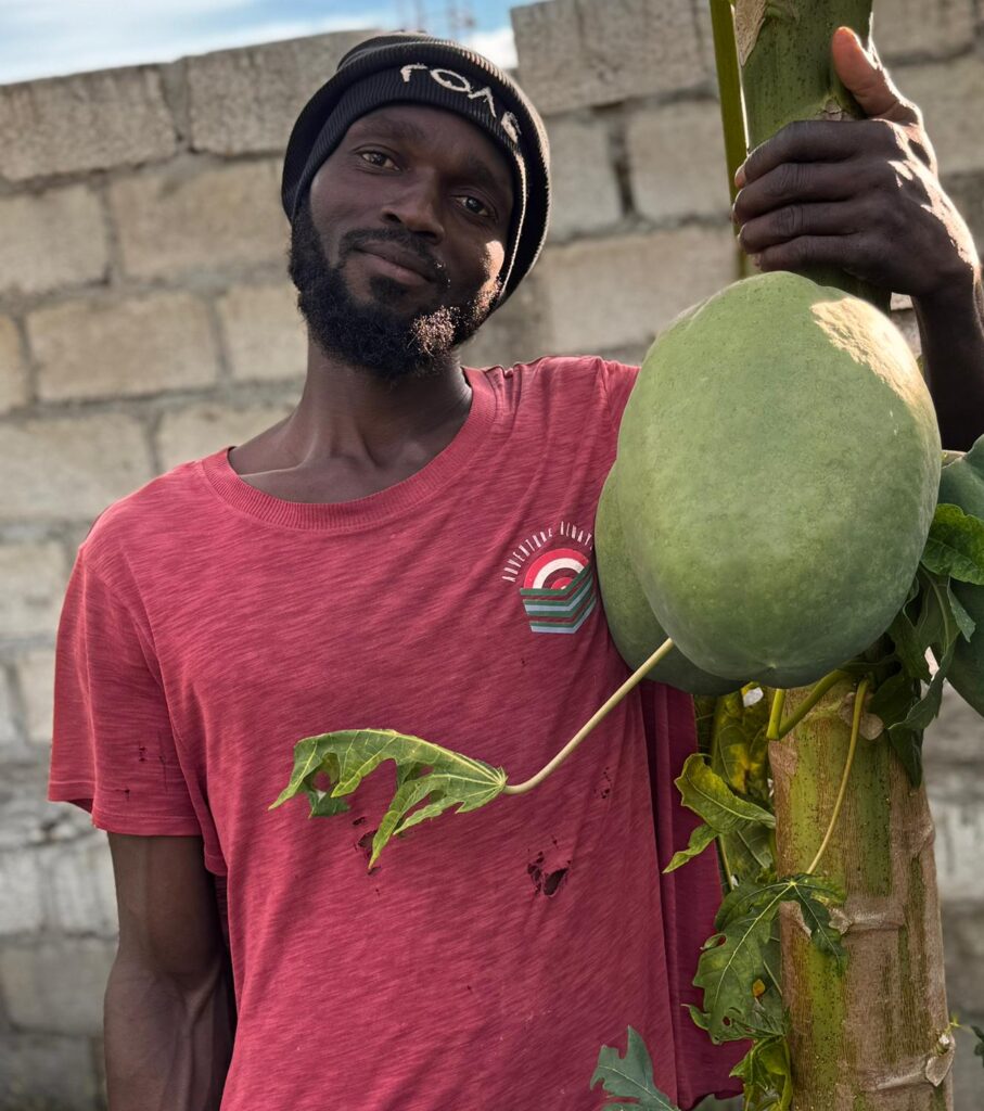 Fedner Cene Frantzco