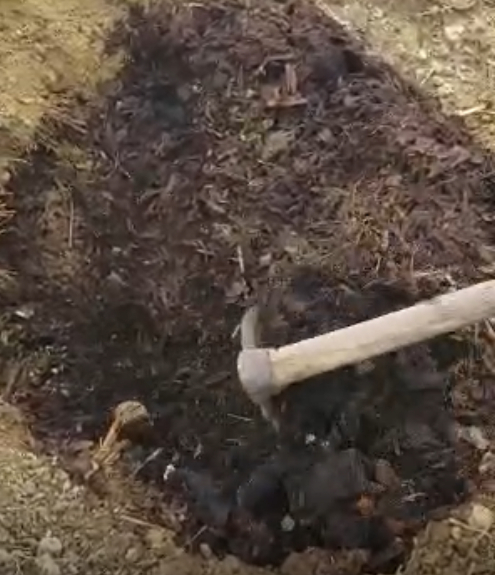 Compost Picture