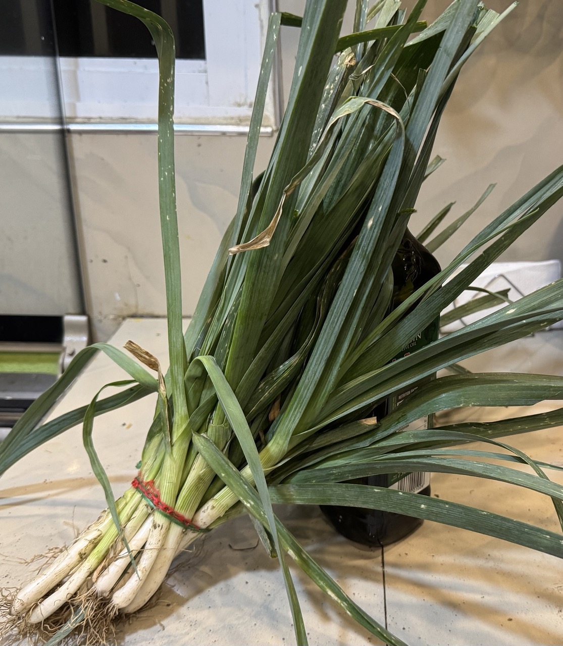 Leek’s Picture