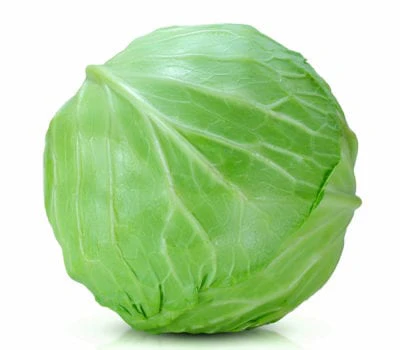 Cabbage’s Picture