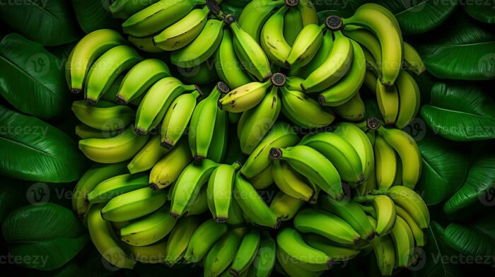 Fresh Bananas – Naturally Sweet - Image 4