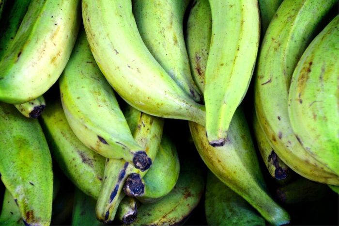 Fresh Plantains - Premium Quality - Image 6